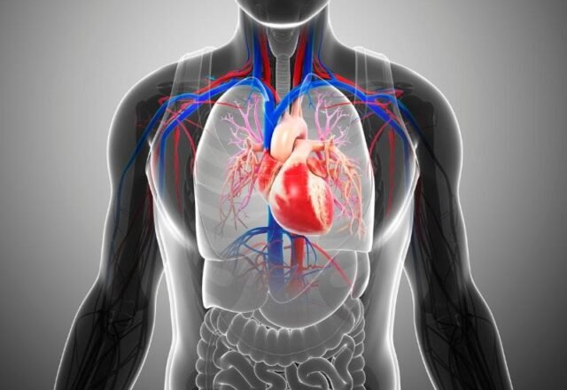 A Importância do Diagnóstico Precoce na Prevenção de Doenças Cardiovasculares