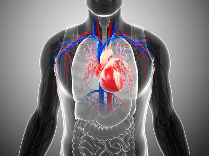 A Importância do Diagnóstico Precoce na Prevenção de Doenças Cardiovasculares