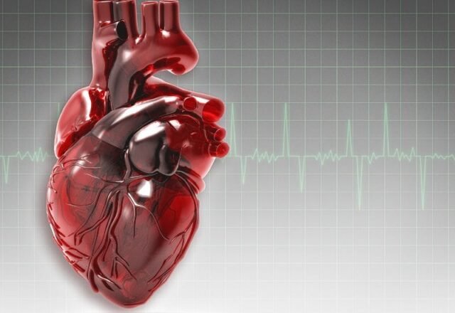 Como Controlar o Colesterol LDL e Prevenir Doenças Cardíacas na Melhor Idade
