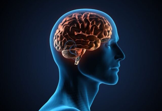 Como Prevenir Acidente Vascular Cerebral (AVC) com Cuidados Regulares
