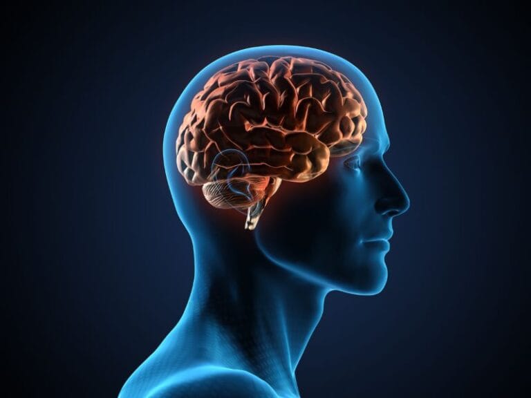 Como Prevenir Acidente Vascular Cerebral (AVC) com Cuidados Regulares