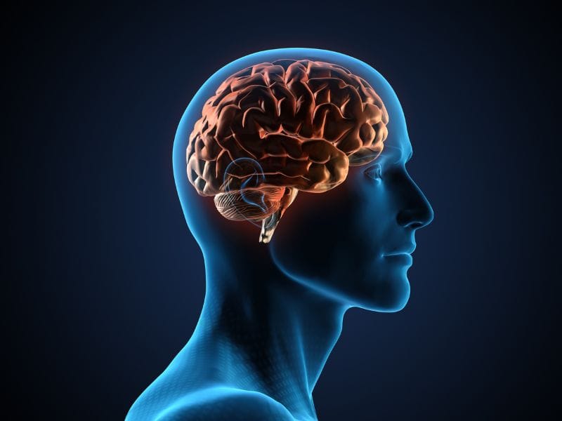 Como Prevenir Acidente Vascular Cerebral (AVC) com Cuidados Regulares