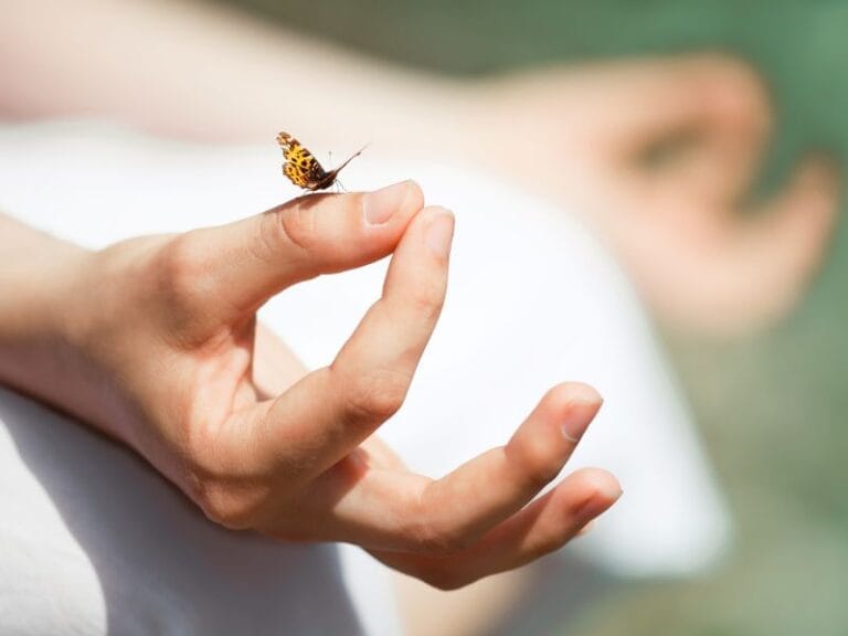 Como a Meditação Pode Ajudar na Redução da Pressão Arterial