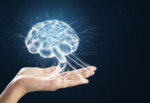Como a Terapia de Estímulo Cognitivo Pode Melhorar a Função Cerebral