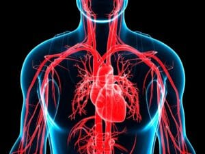 Dicas para Controlar a Hipertensão e Melhorar a Saúde Cardiovascular
