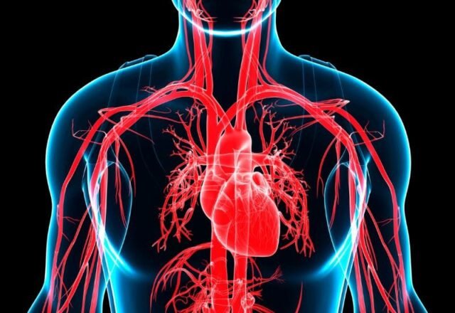 Dicas para Controlar a Hipertensão e Melhorar a Saúde Cardiovascular