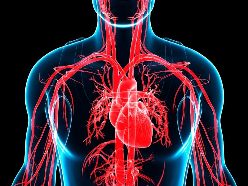 Dicas para Controlar a Hipertensão e Melhorar a Saúde Cardiovascular