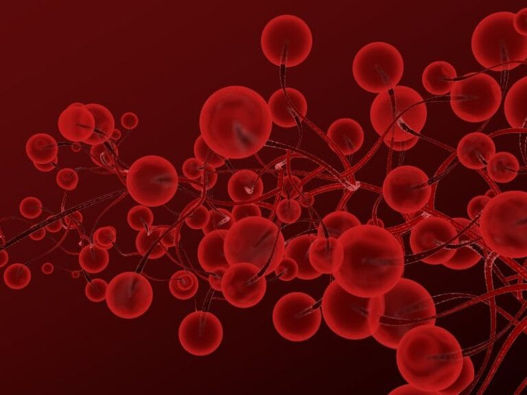 Prevenção de Doenças Vasculares O Que Você Precisa Saber